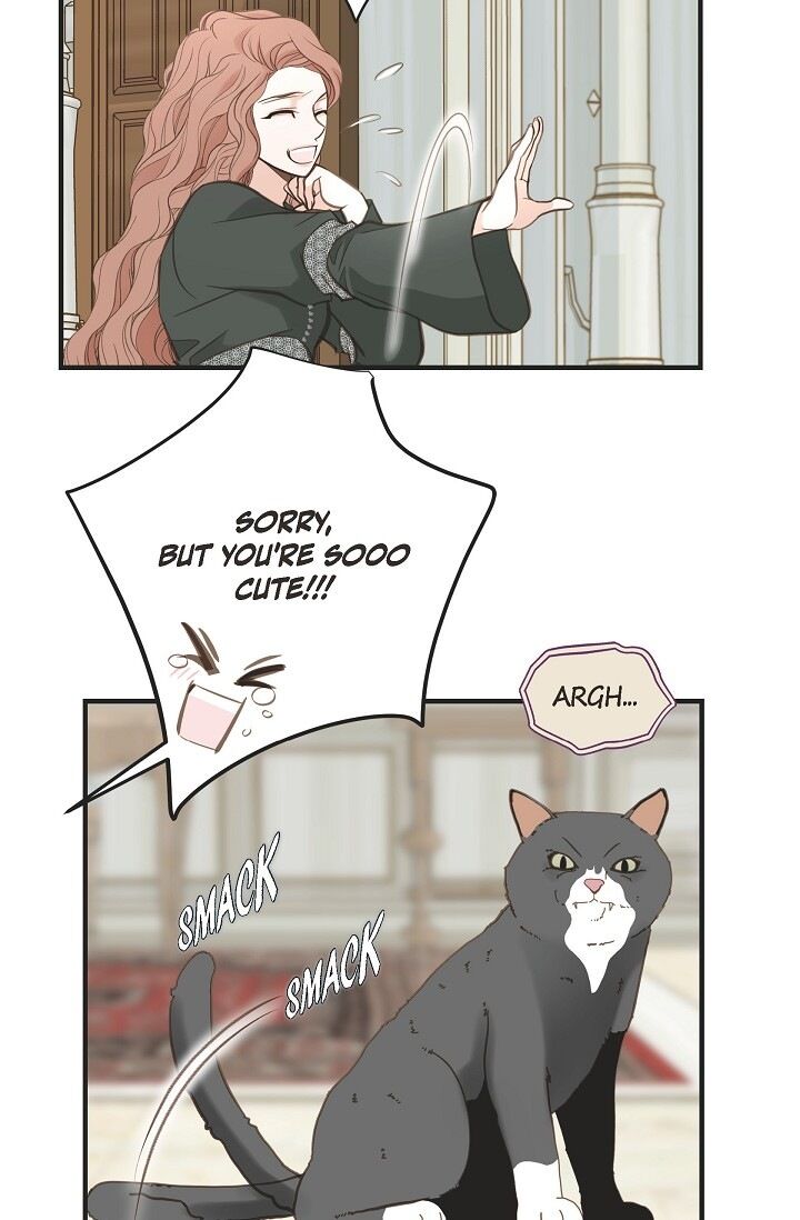 Read Survival Marriage Manga Online