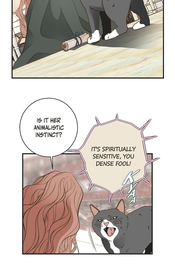 Read Survival Marriage Manga Online