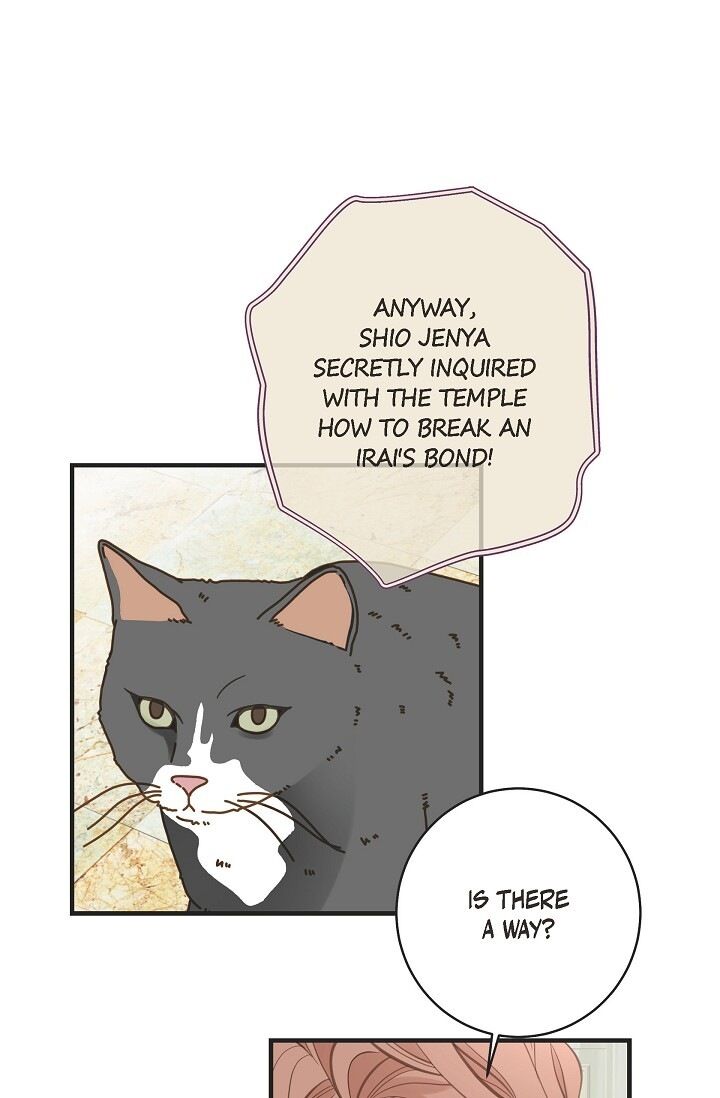 Read Survival Marriage Manga Online