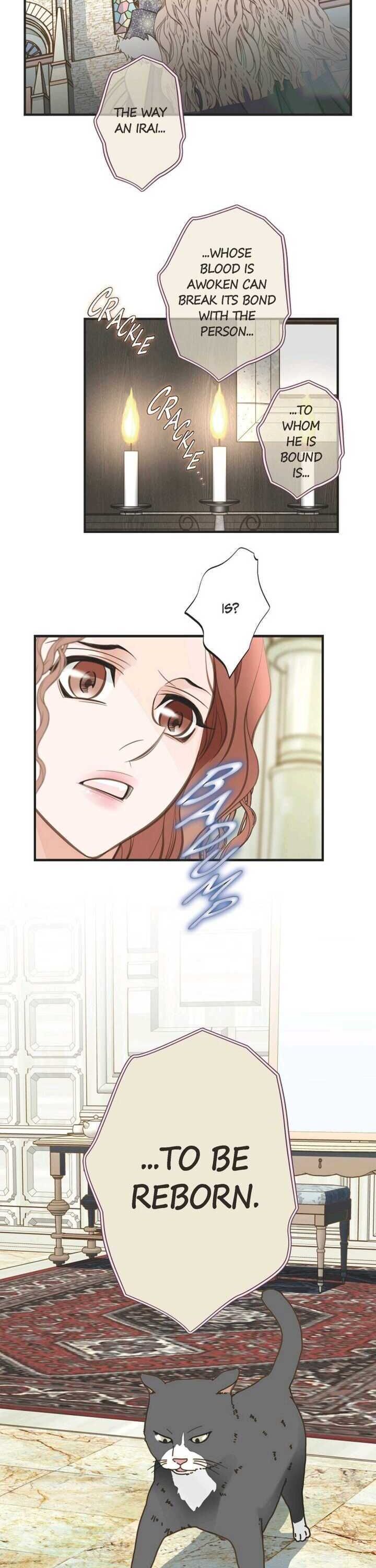 Read Survival Marriage Manga Online