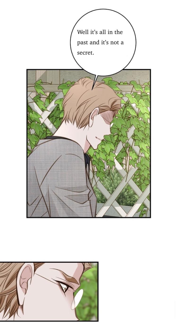 Read Survival Marriage Manga Online