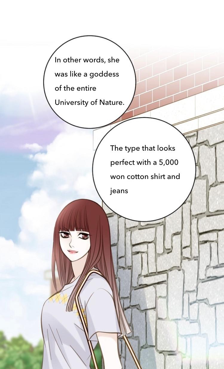 Read Survival Marriage Manga Online