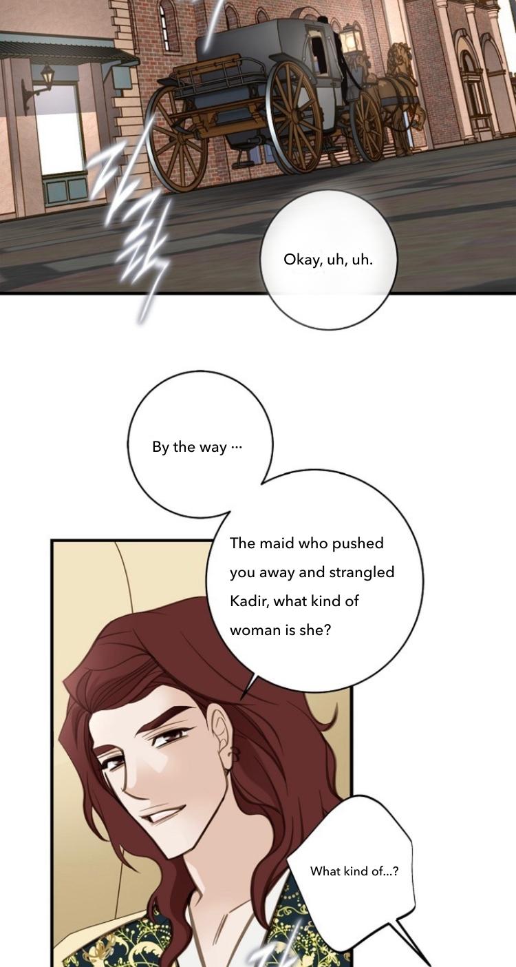 Read Survival Marriage Manga Online