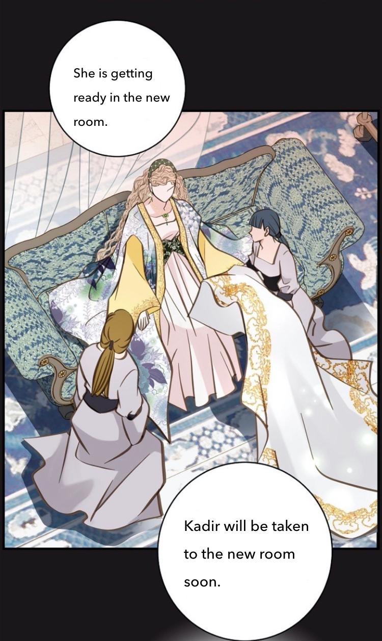 Read Survival Marriage Manga Online