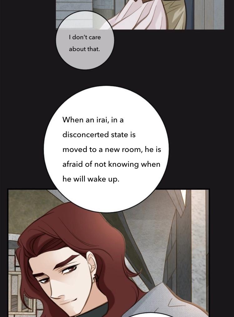 Read Survival Marriage Manga Online