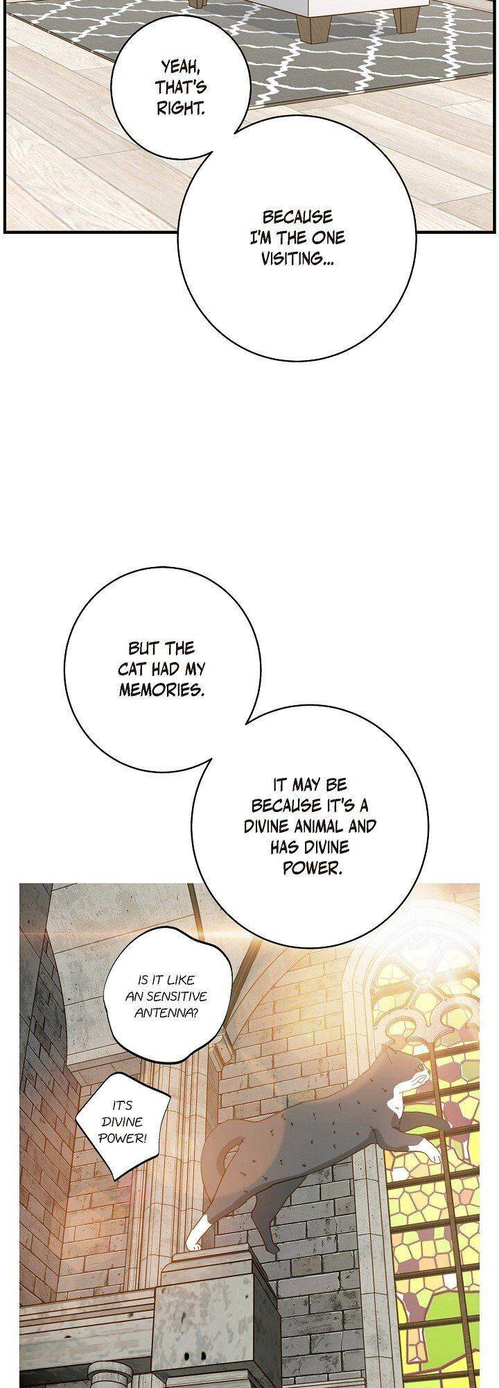 Read Survival Marriage Manga Online