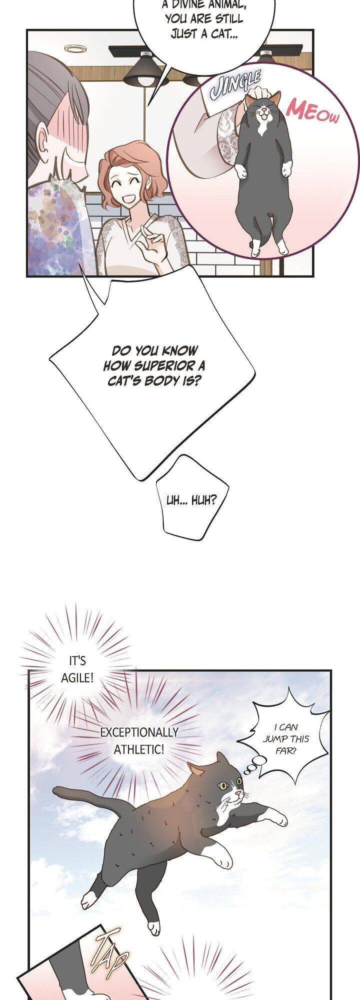 Read Survival Marriage Manga Online