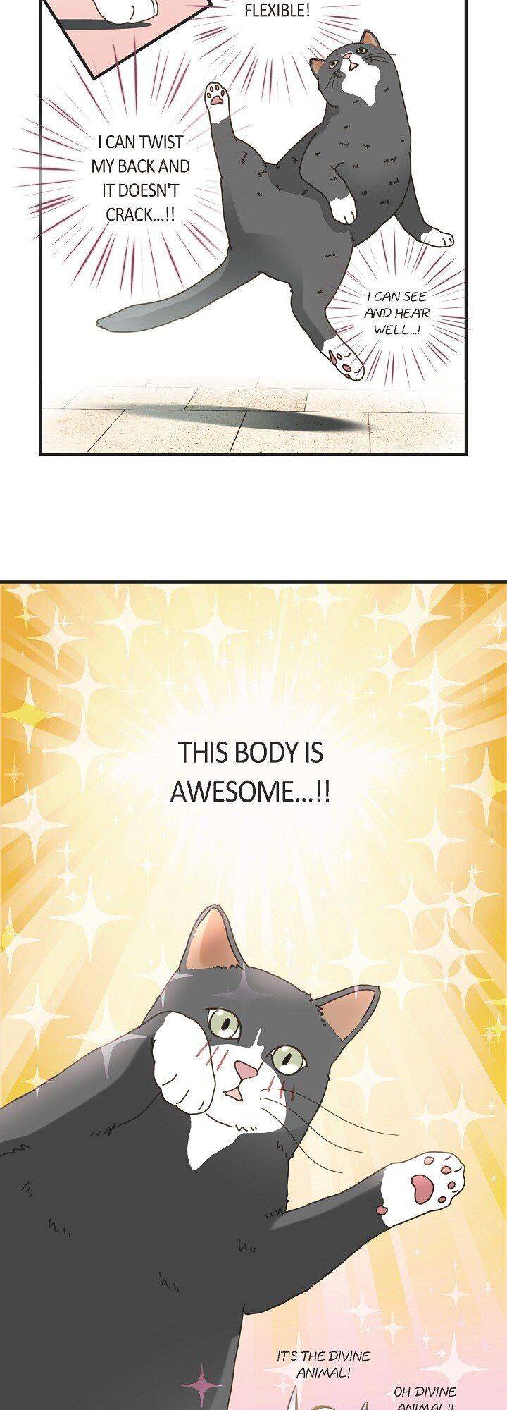 Read Survival Marriage Manga Online