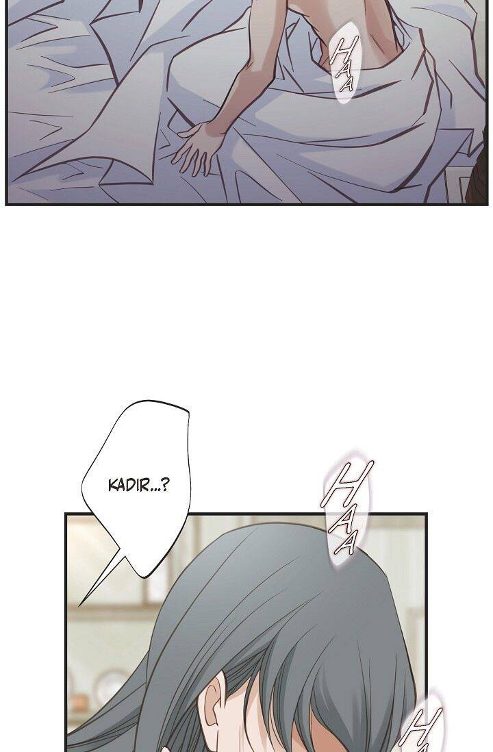 Read Survival Marriage Manga Online