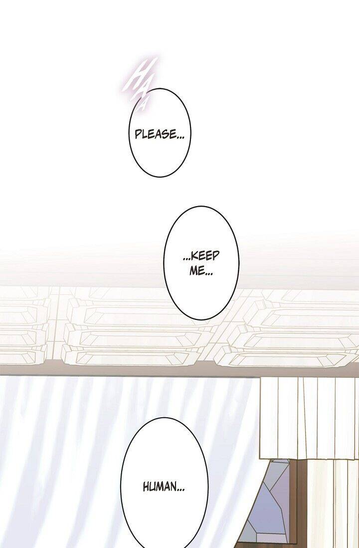 Read Survival Marriage Manga Online