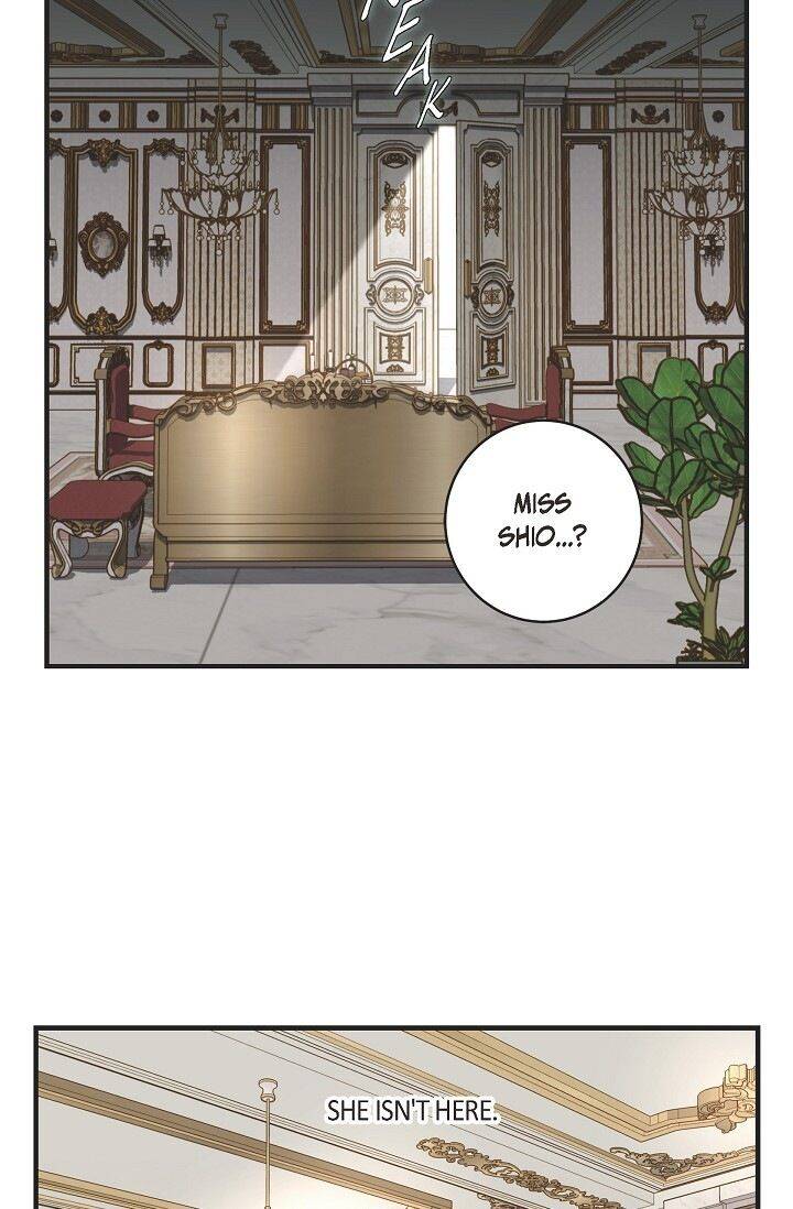 Read Survival Marriage Manga Online