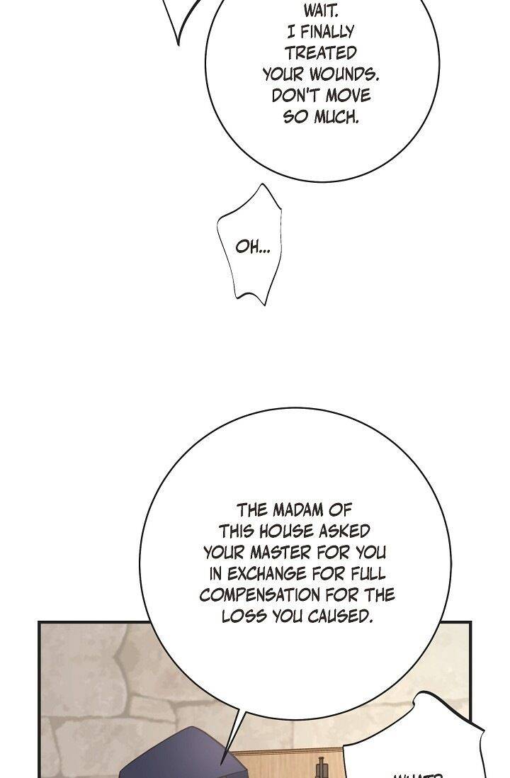 Read Survival Marriage Manga Online
