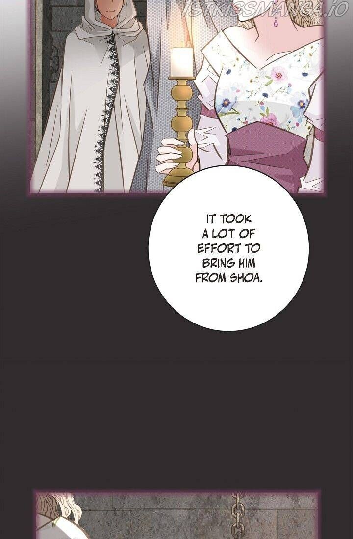 Read Survival Marriage Manga Online