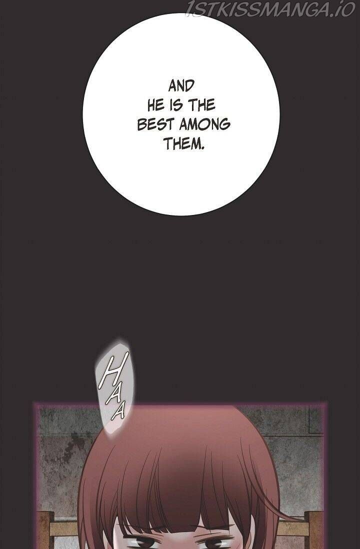 Read Survival Marriage Manga Online