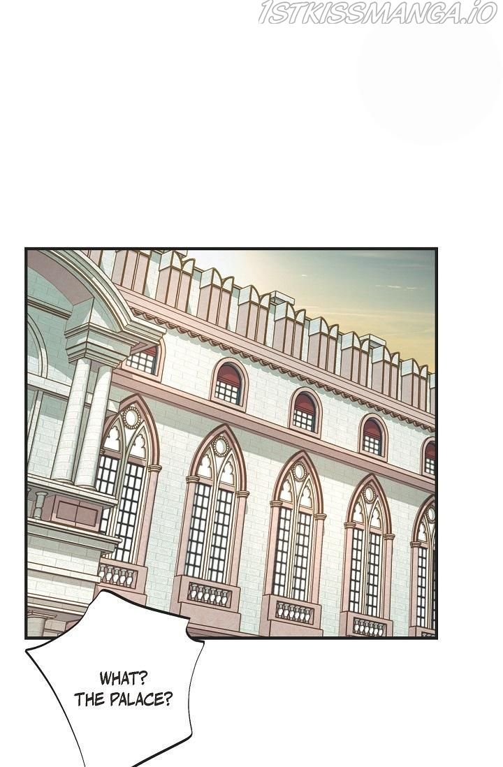 Read Survival Marriage Manga Online