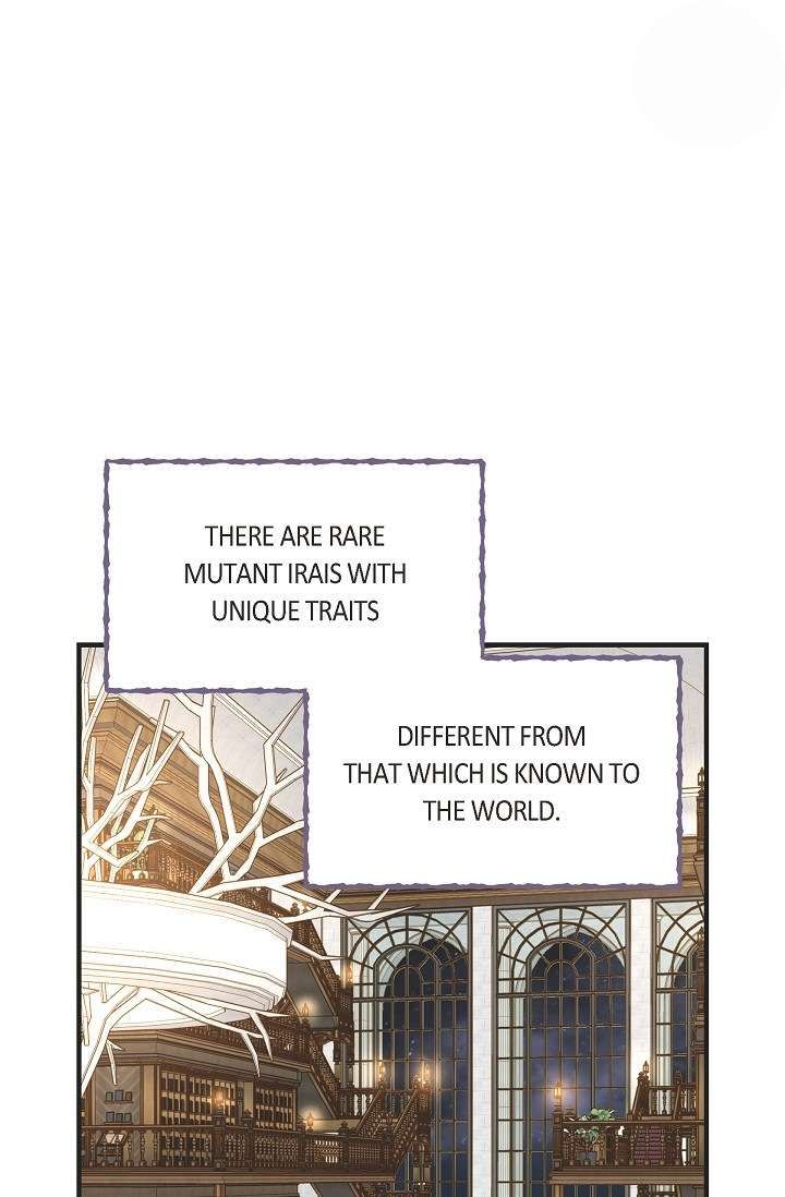 Read Survival Marriage Manga Online