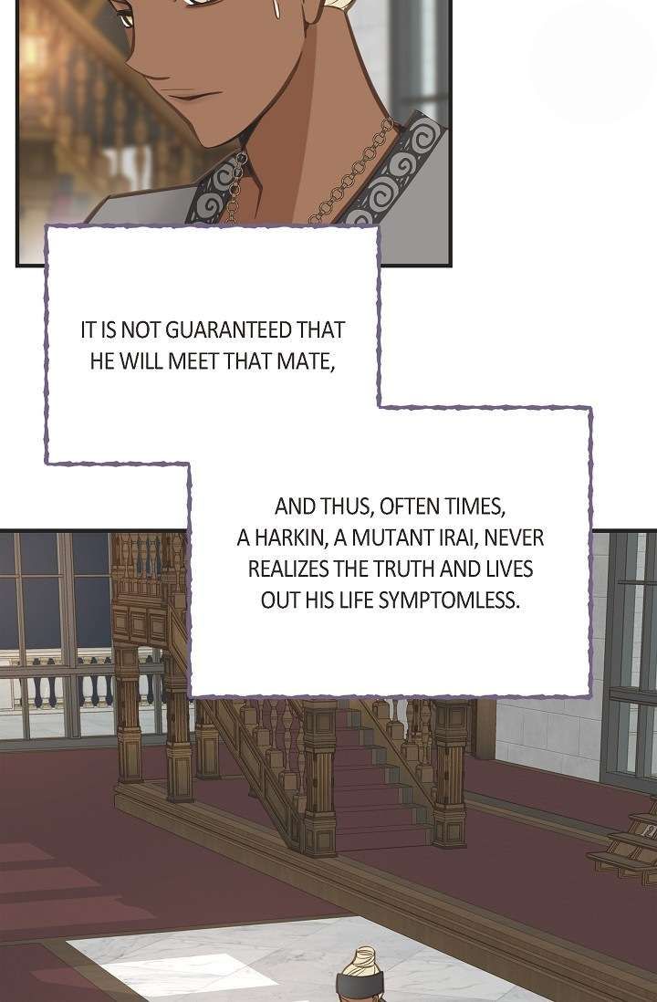 Read Survival Marriage Manga Online