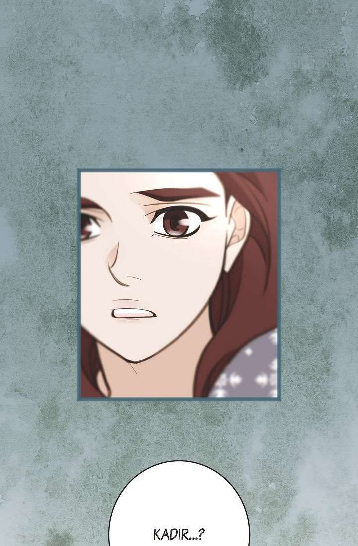 Read Survival Marriage Manga Online