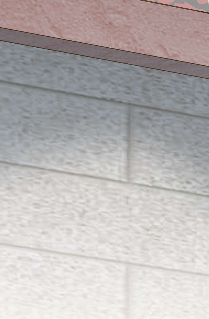 Read Survival Marriage Manga Online