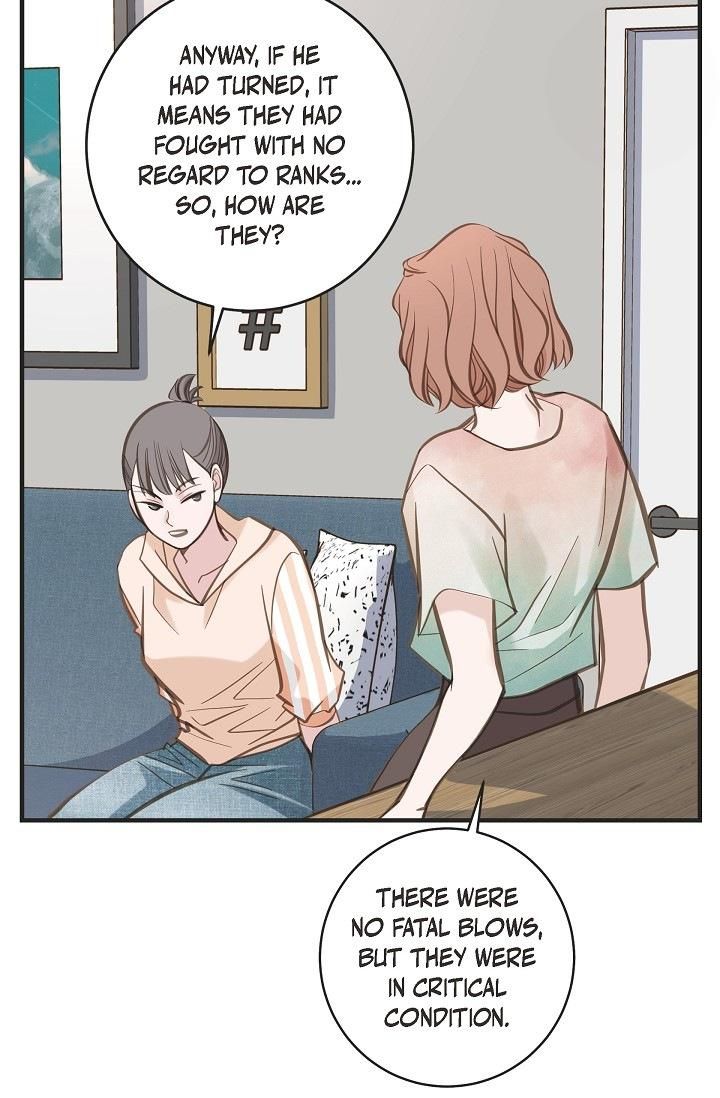 Read Survival Marriage Manga Online