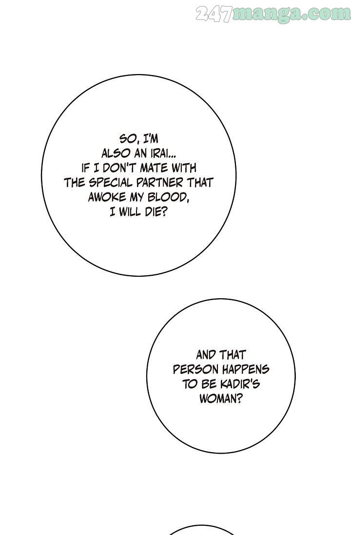 Read Survival Marriage Manga Online