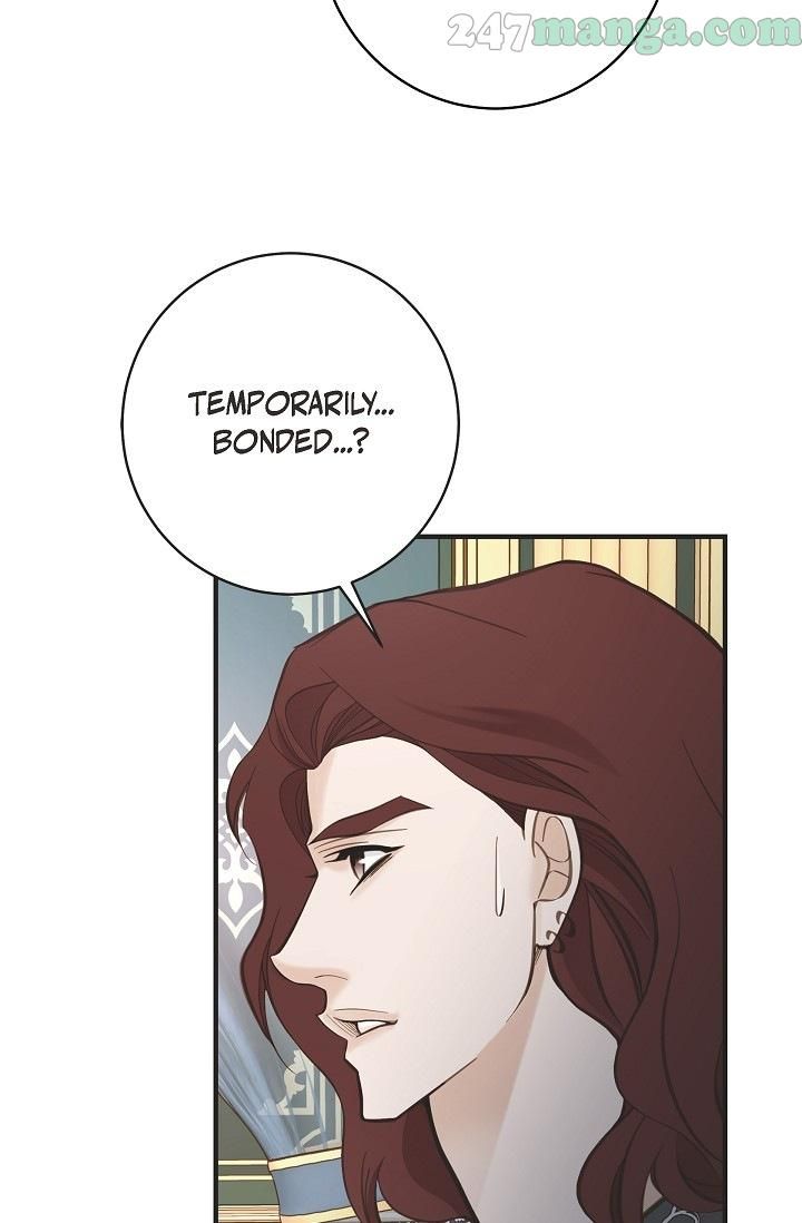 Read Survival Marriage Manga Online