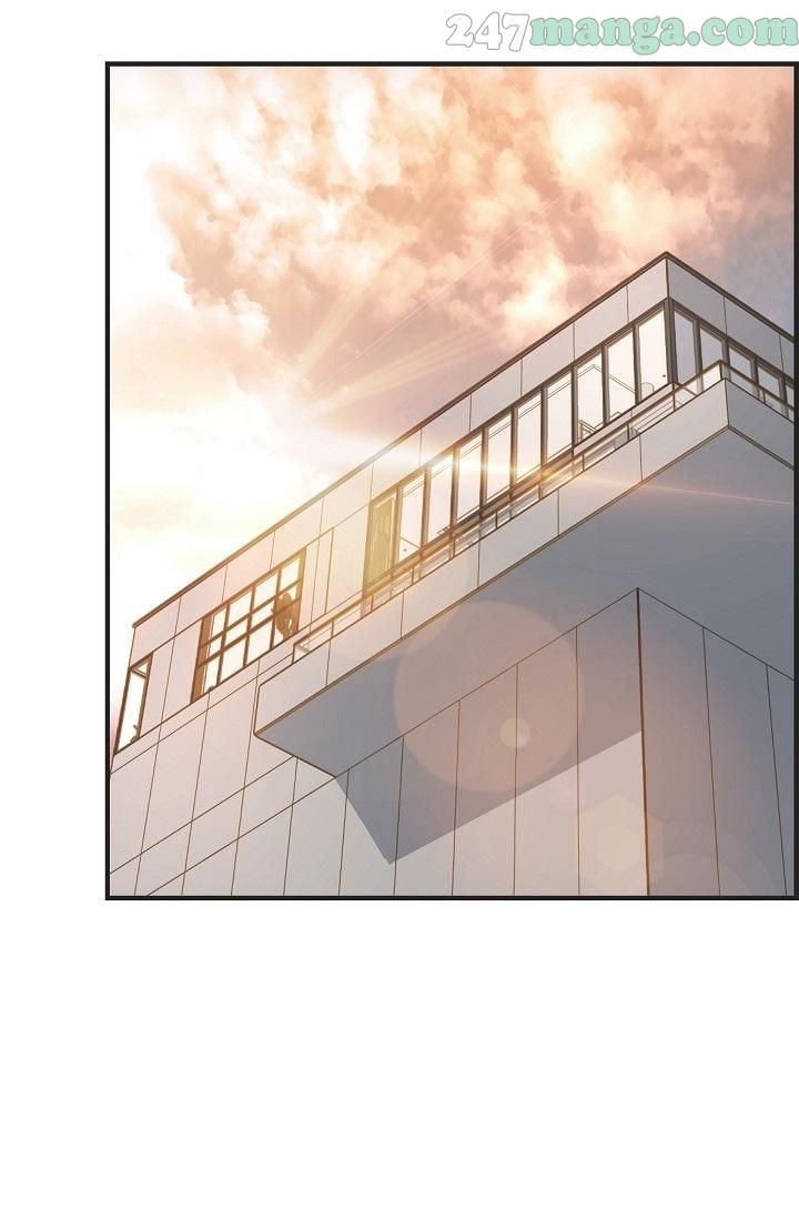 Read Survival Marriage Manga Online