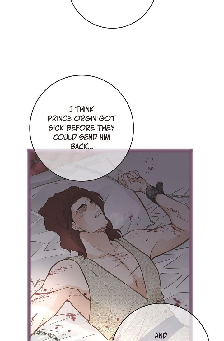 Read Survival Marriage Manga Online