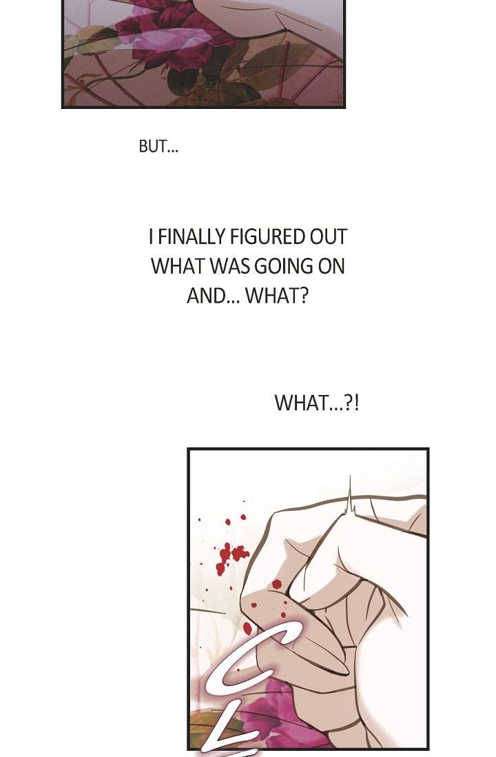 Read Survival Marriage Manga Online