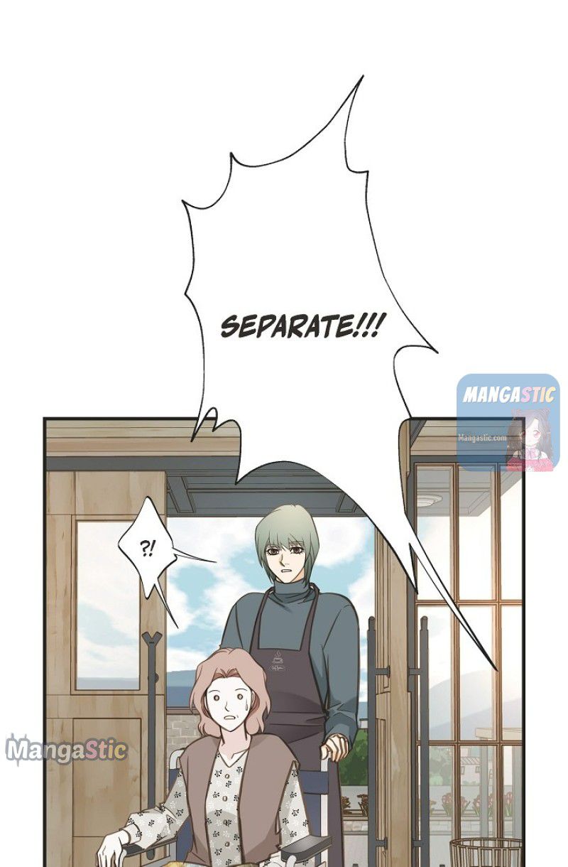 Read Survival Marriage Manga Online