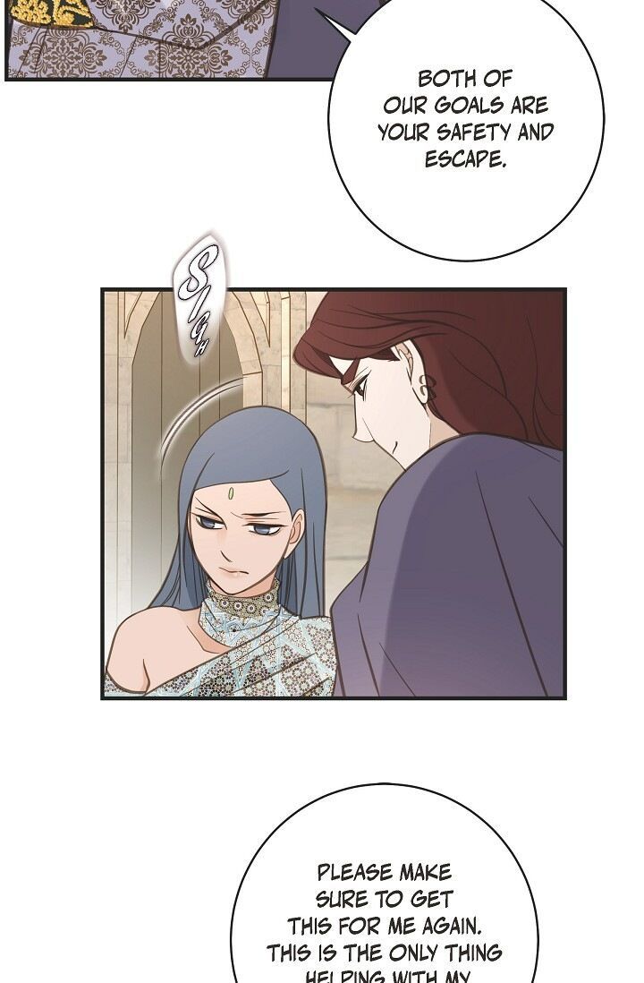 Read Survival Marriage Manga Online