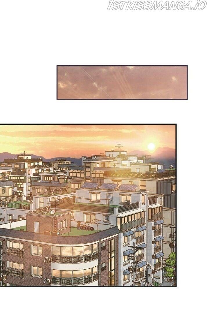 Read Survival Marriage Manga Online