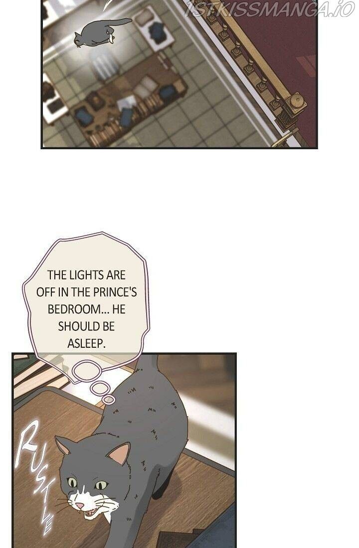 Read Survival Marriage Manga Online