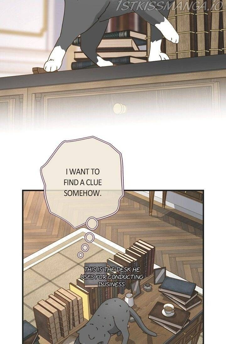 Read Survival Marriage Manga Online