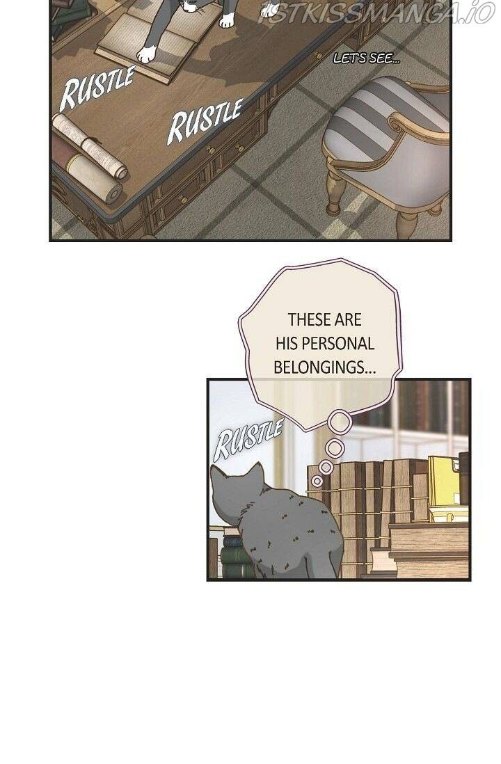 Read Survival Marriage Manga Online