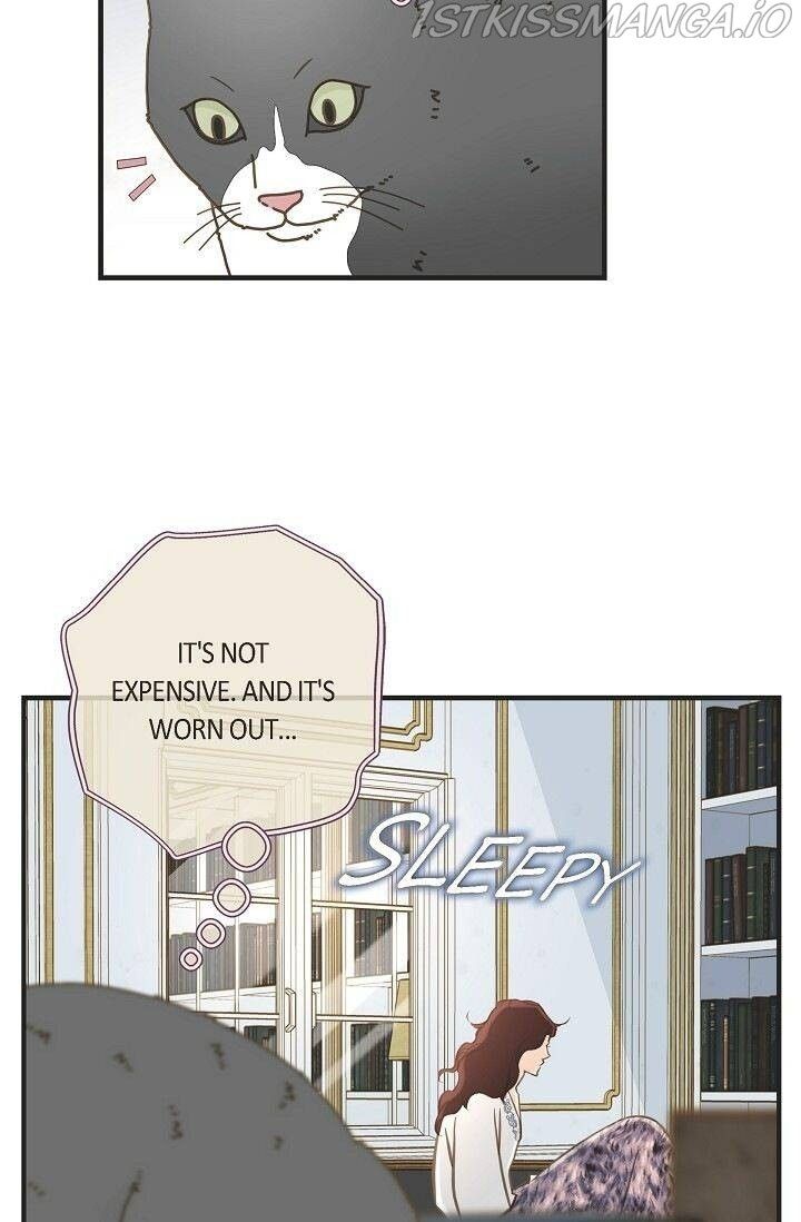 Read Survival Marriage Manga Online