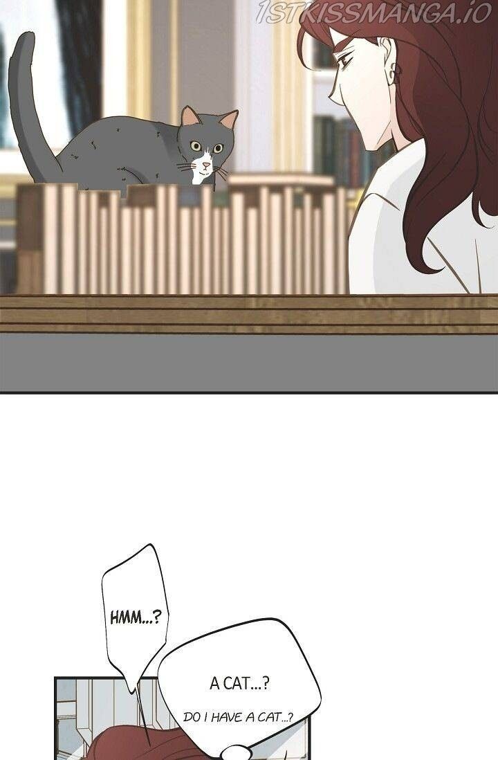 Read Survival Marriage Manga Online