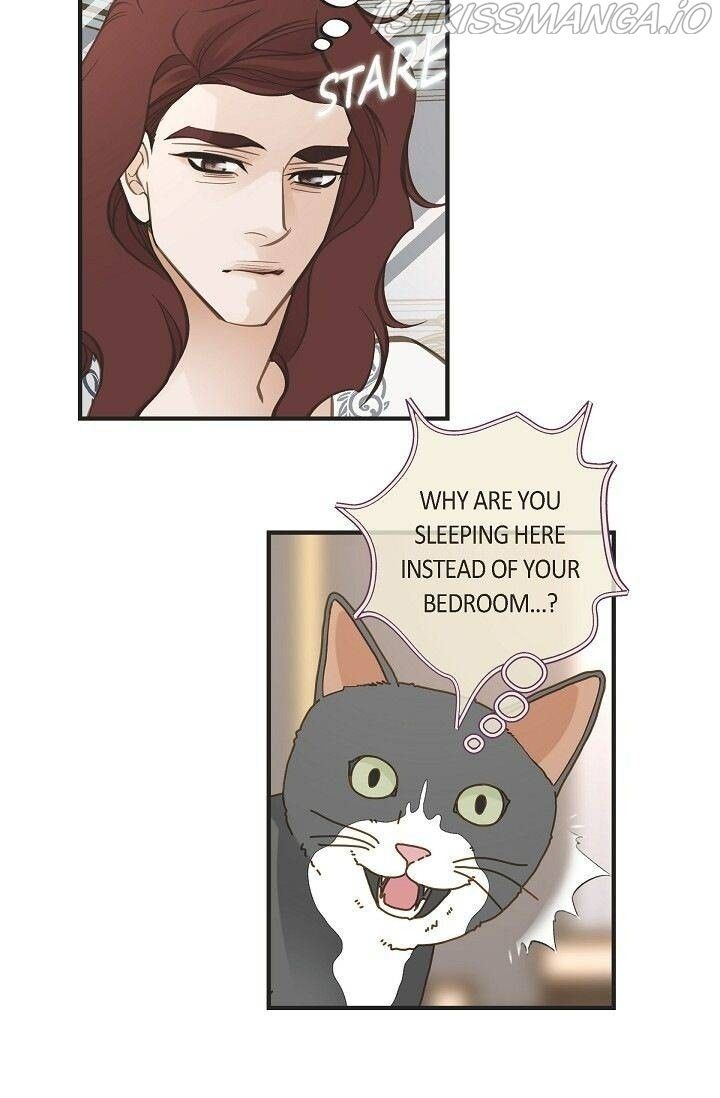 Read Survival Marriage Manga Online