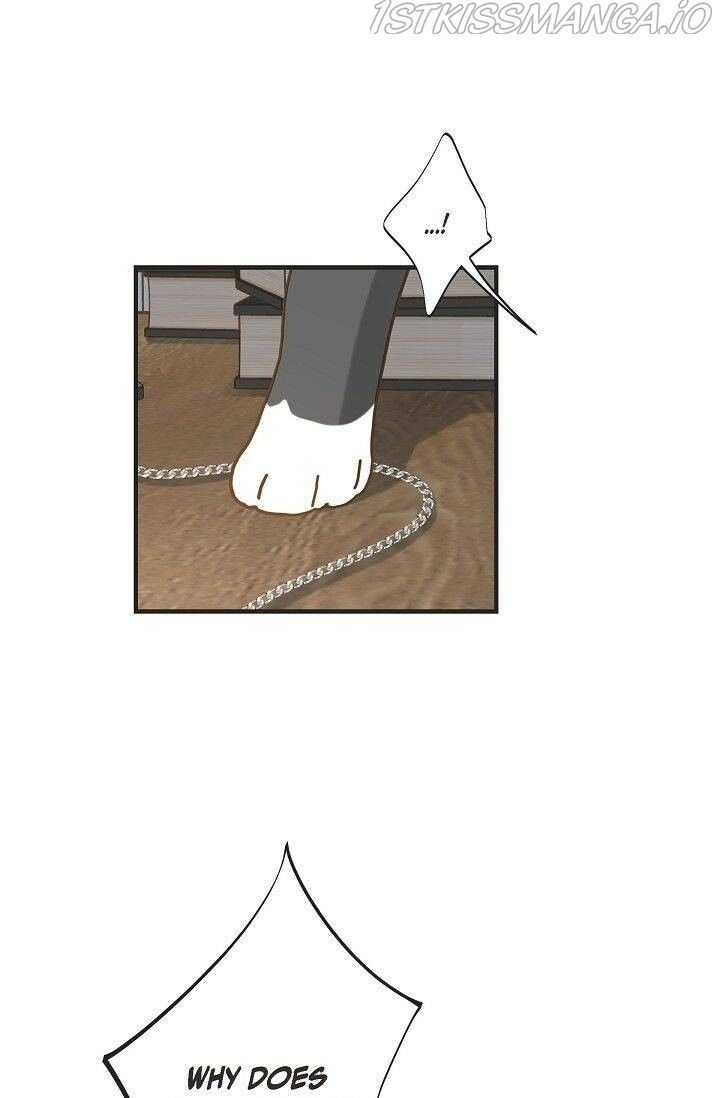 Read Survival Marriage Manga Online