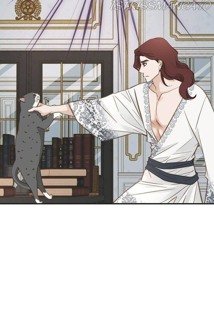 Read Survival Marriage Manga Online