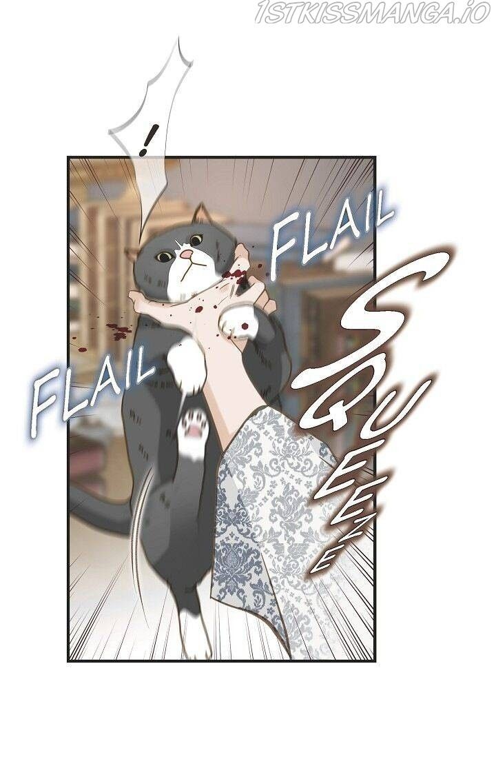 Read Survival Marriage Manga Online