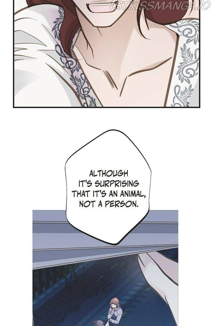 Read Survival Marriage Manga Online