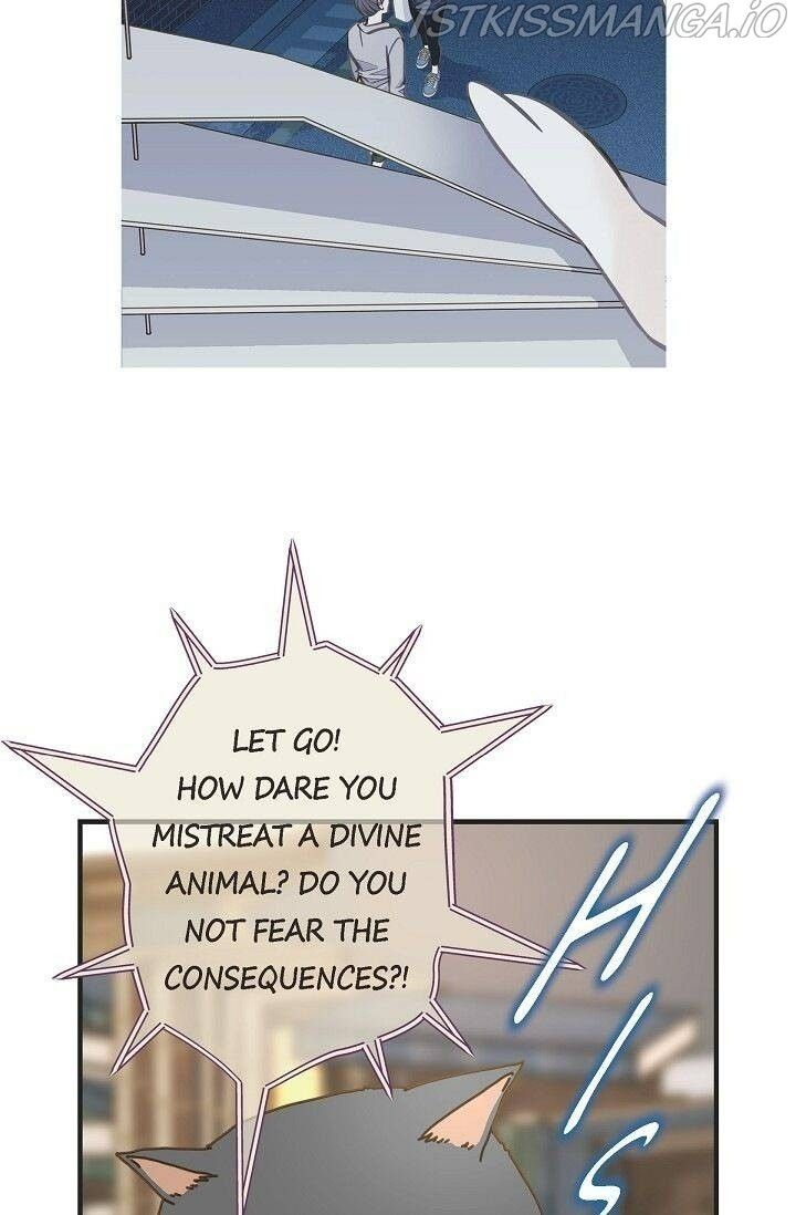 Read Survival Marriage Manga Online