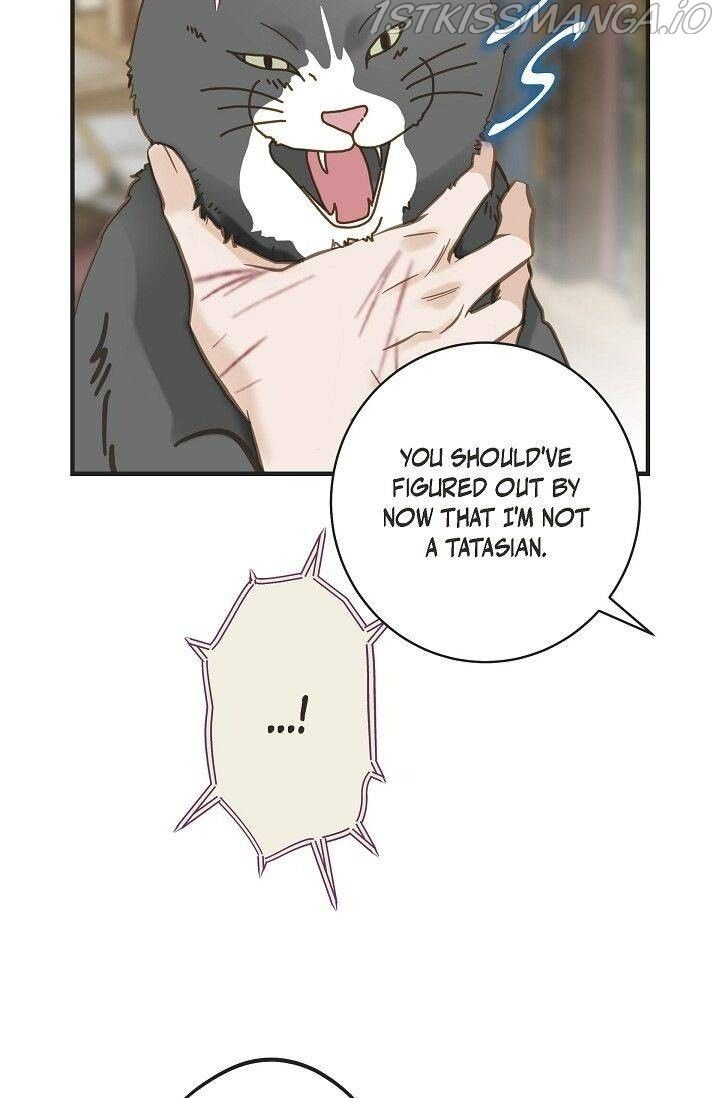 Read Survival Marriage Manga Online