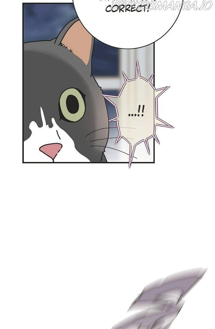 Read Survival Marriage Manga Online