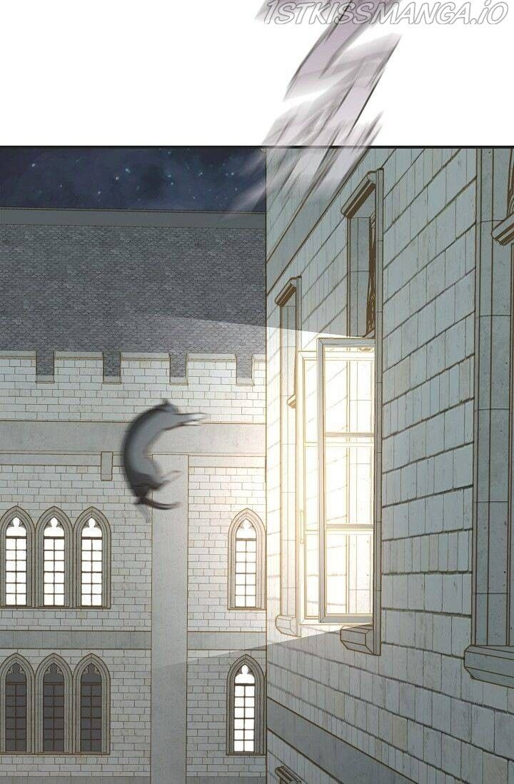 Read Survival Marriage Manga Online