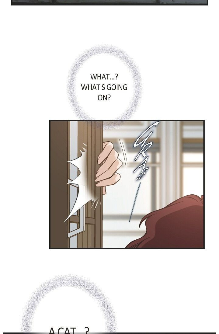 Read Survival Marriage Manga Online