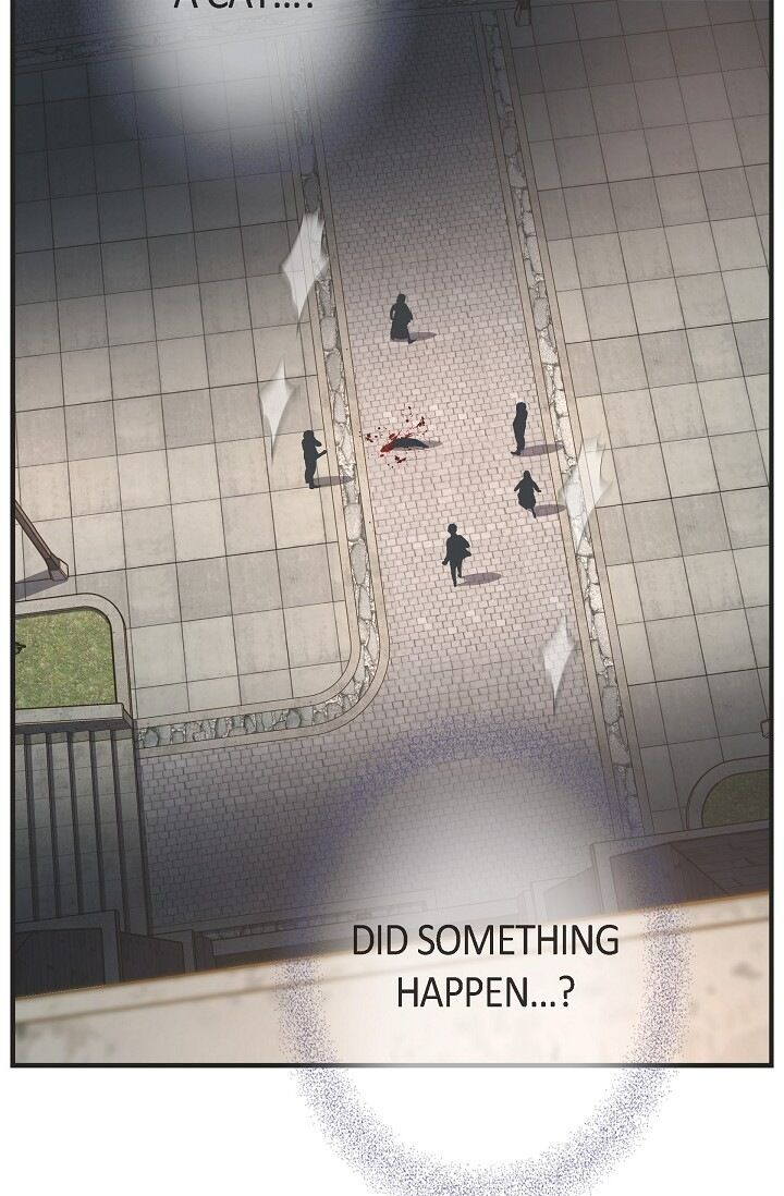 Read Survival Marriage Manga Online