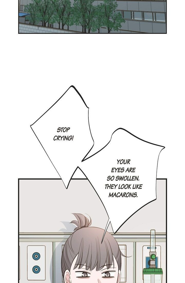 Read Survival Marriage Manga Online