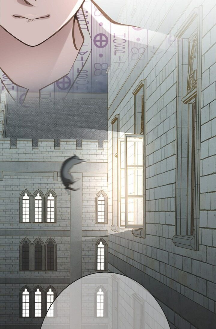 Read Survival Marriage Manga Online